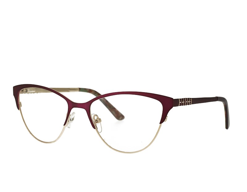 private eyes stainless cateye frames